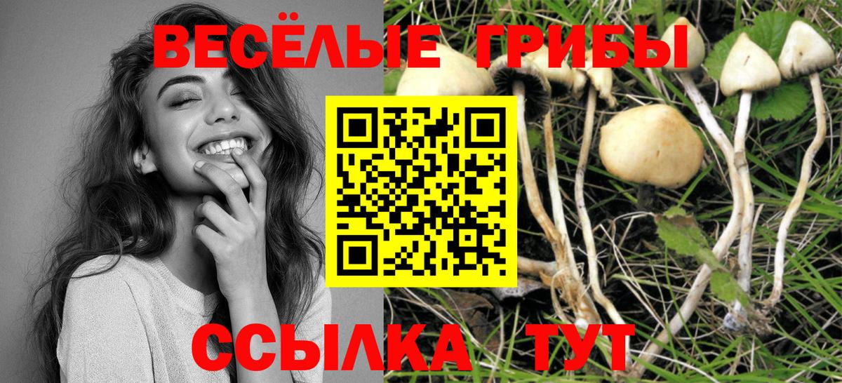 Псилоцибиновые грибы GOLDEN TEACHER Бузулук