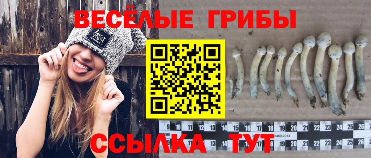 Бузулук  Псилоцибиновые грибы Psilocybe  хочу наркоту  Галлюциногенные грибы Magic Shrooms  Вход с VPN 